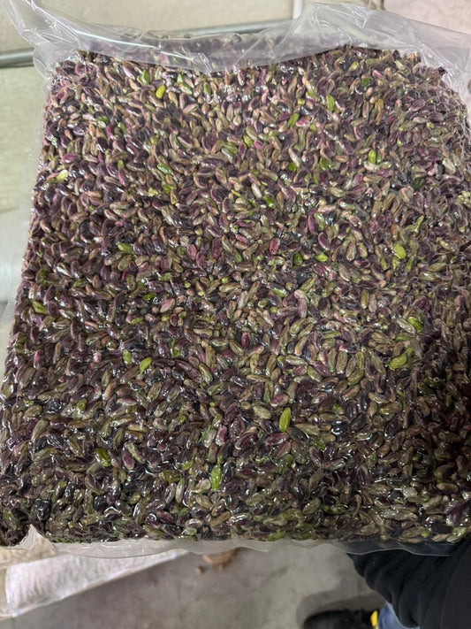 1 kg Pistachio from Bronte PDO